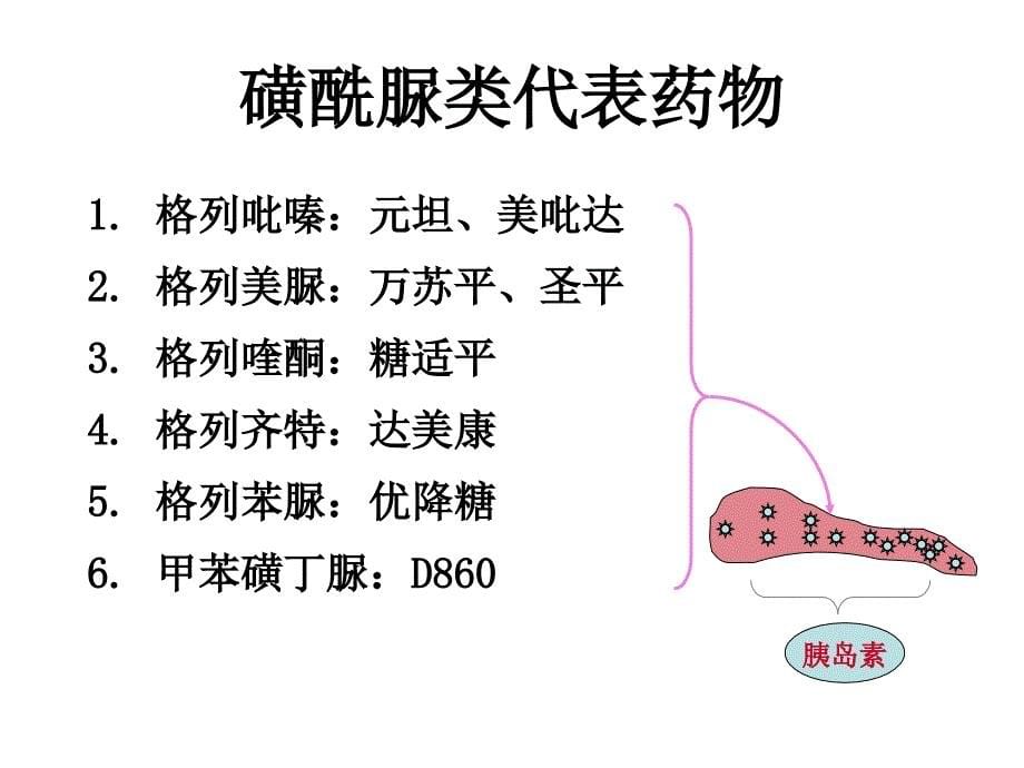 口服降糖药与胰岛素注射_第5页