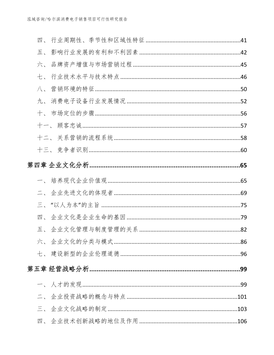 哈尔滨消费电子销售项目可行性研究报告【参考模板】_第3页
