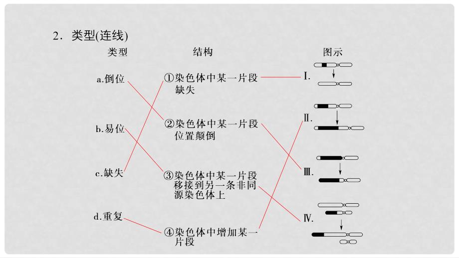 高中生物 第3章 遗传和染色体 第3节 染色体变异及其应用课件 苏教版必修2_第4页