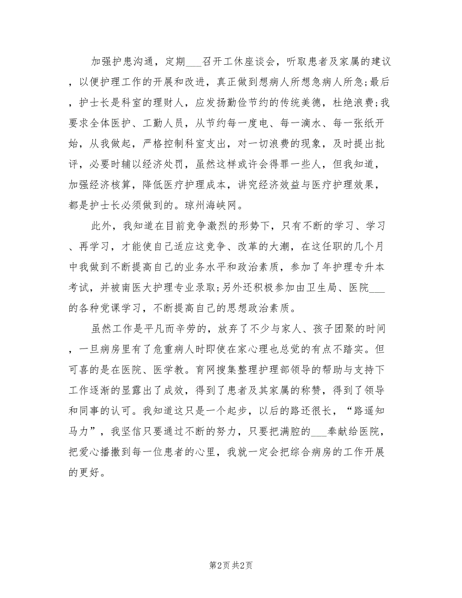 2022年主任护师年终个人总结范文_第2页