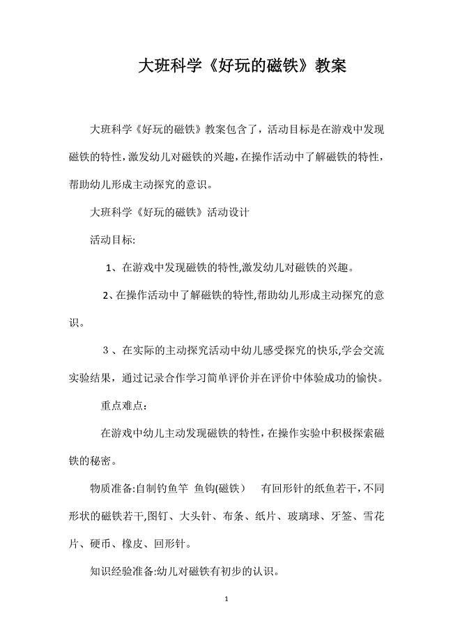 大班科学好玩的磁铁教案