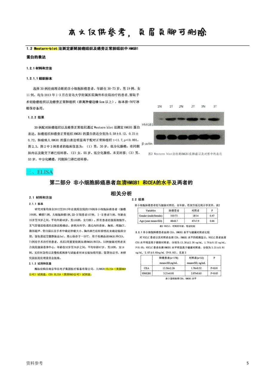 蛋白表达不同检测方式的比较和分析（仅供参照）_第5页