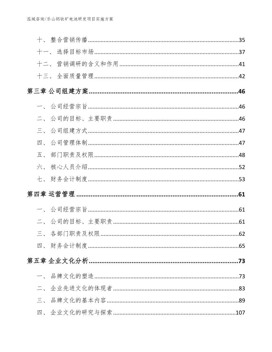 乐山钙钛矿电池研发项目实施方案_第3页