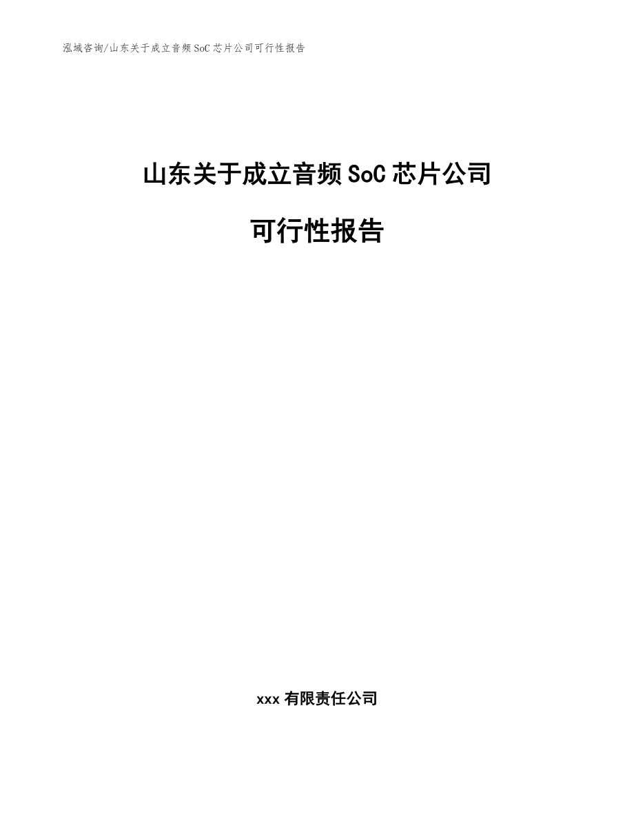 山东关于成立音频SoC芯片公司可行性报告（模板范文）_第1页