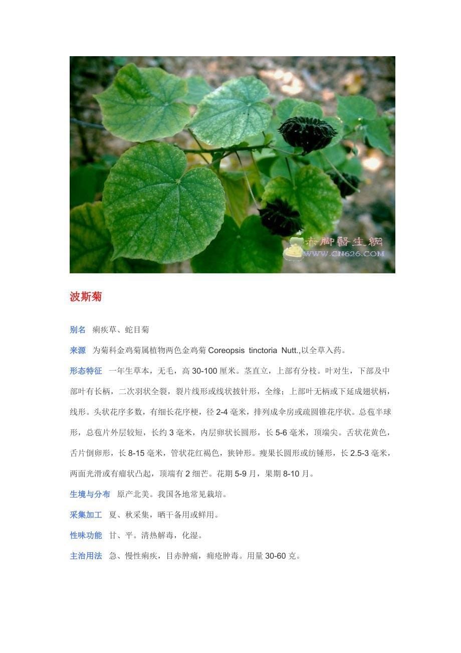 中草药图片大全之.doc_第5页