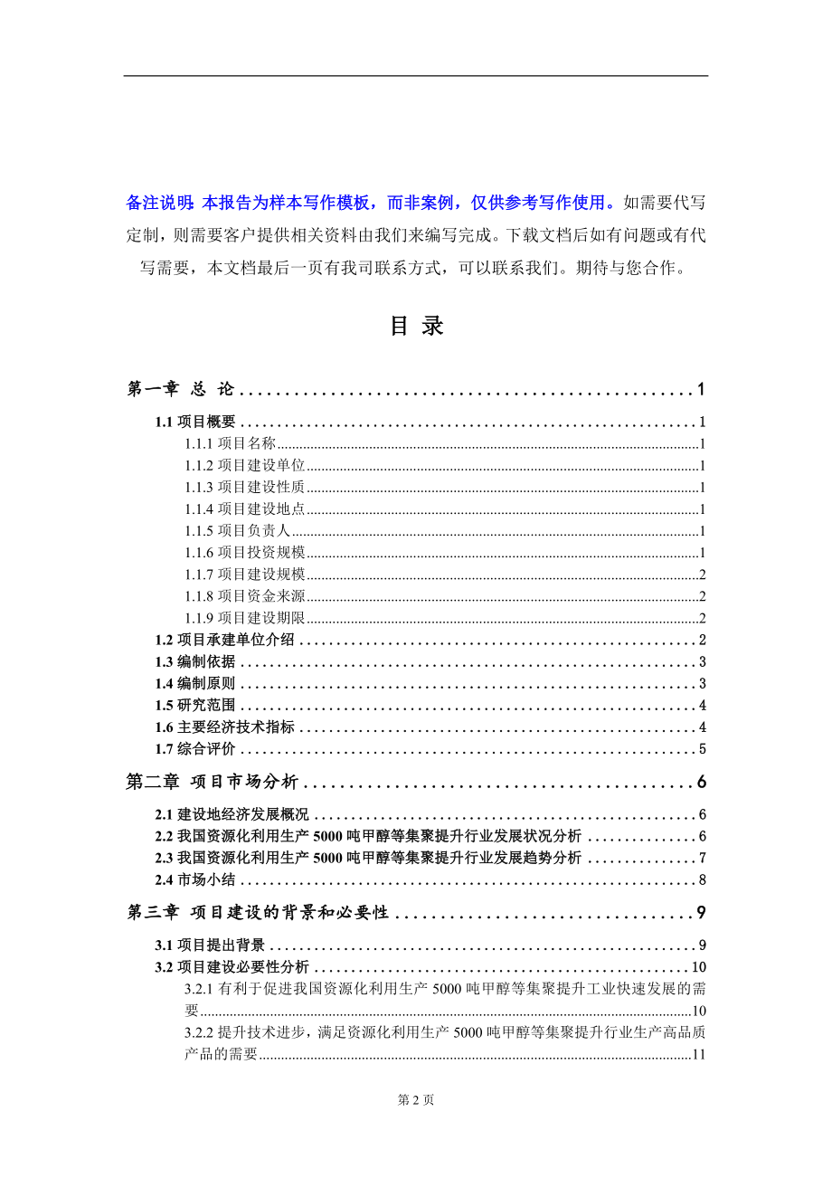 资源化利用生产5000吨甲醇等集聚提升项目可行性研究报告写作模板-立项备案_第2页