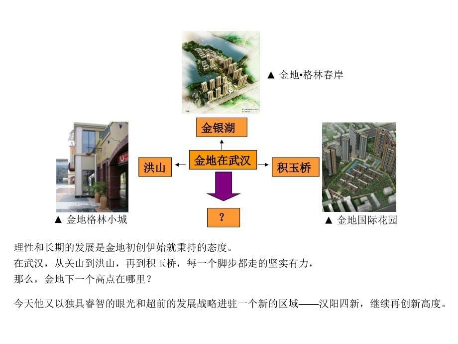 武汉金地四新项目前期策划提案99P_第5页