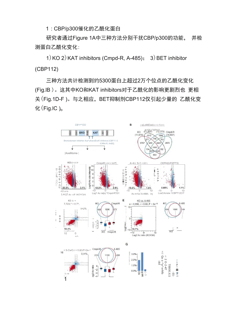 Plus深读CBPp300蛋白迅速且广泛的调节乙酰化蛋白组影响转录调_第2页