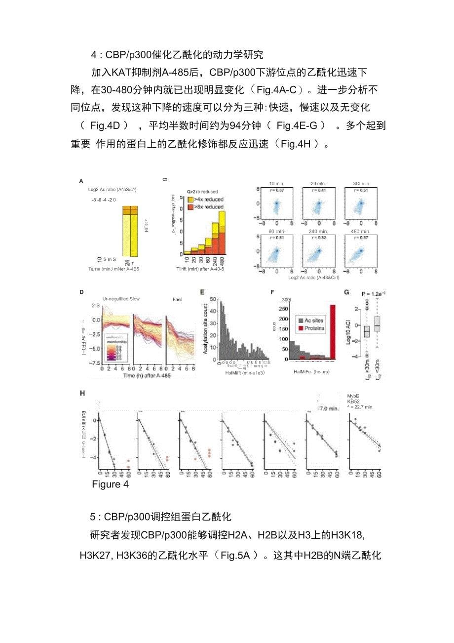 Plus深读CBPp300蛋白迅速且广泛的调节乙酰化蛋白组影响转录调_第5页