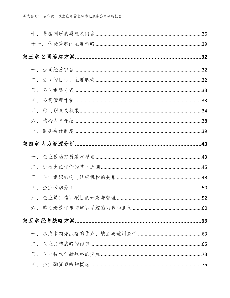 宁安市关于成立应急管理标准化服务公司分析报告模板范本_第2页