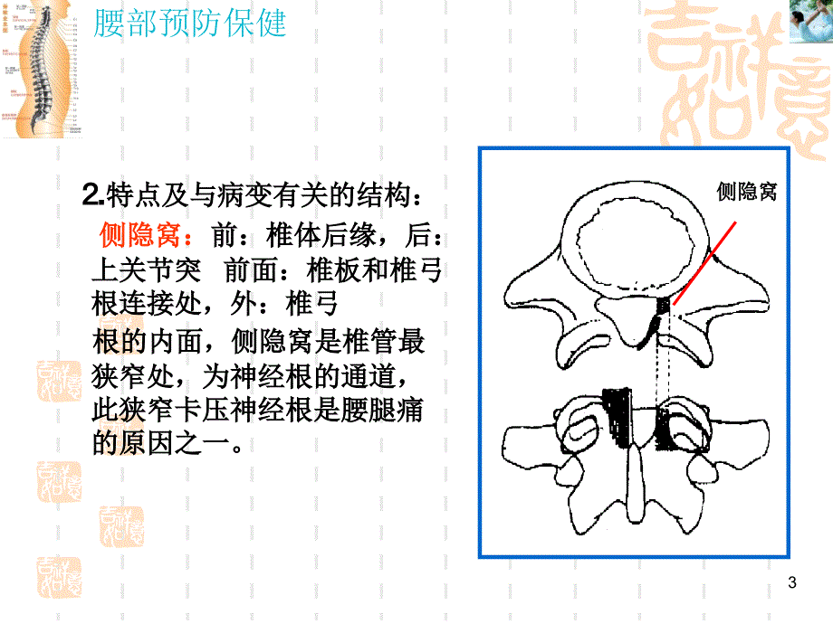 《腰部保健预防》PPT课件_第3页