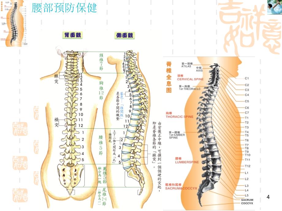 《腰部保健预防》PPT课件_第4页