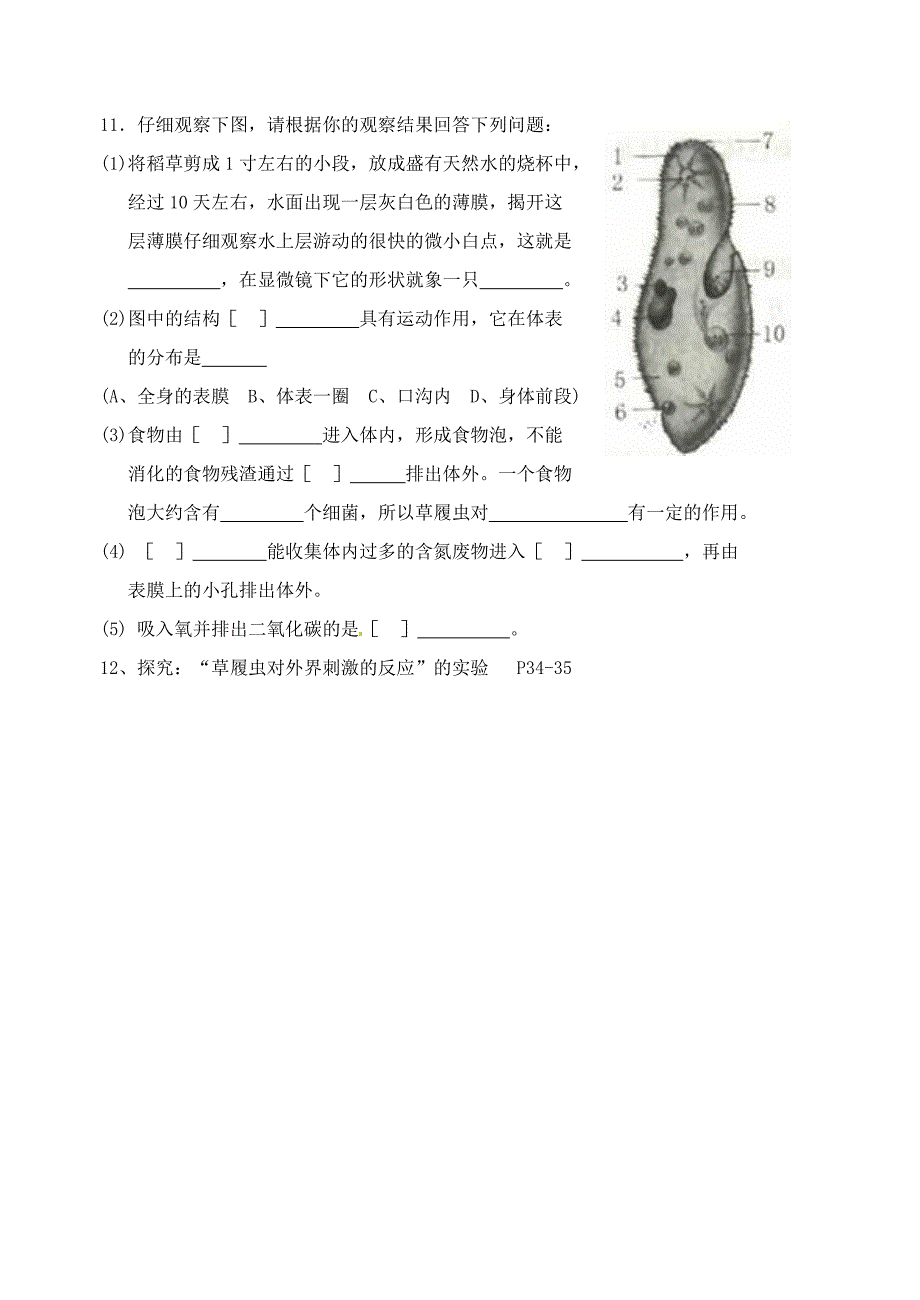 七年级生物下期末复习提纲二2_第4页