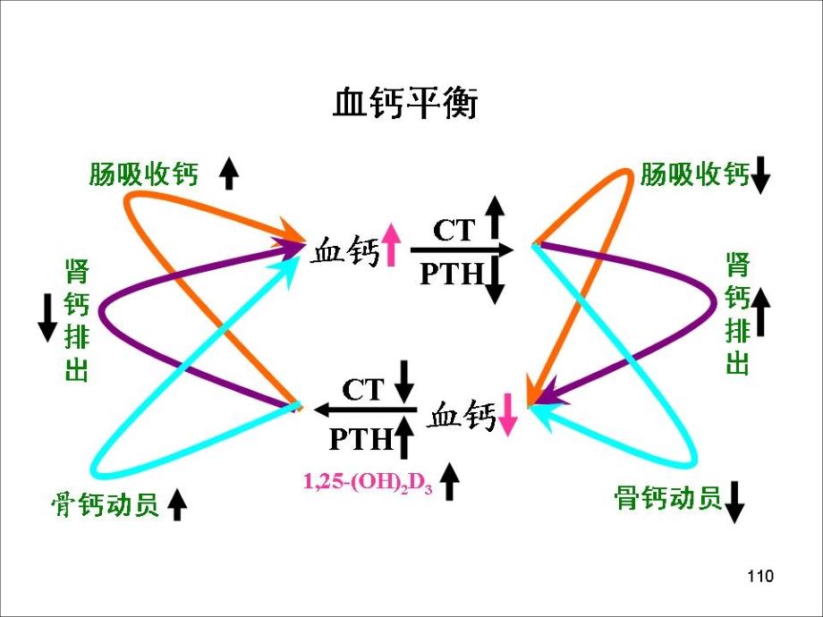 营养学——矿物质钙_第4页