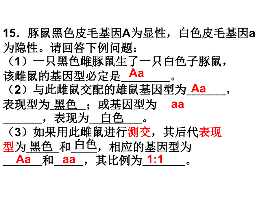 《基因自由组合定律》PPT课件.ppt_第3页