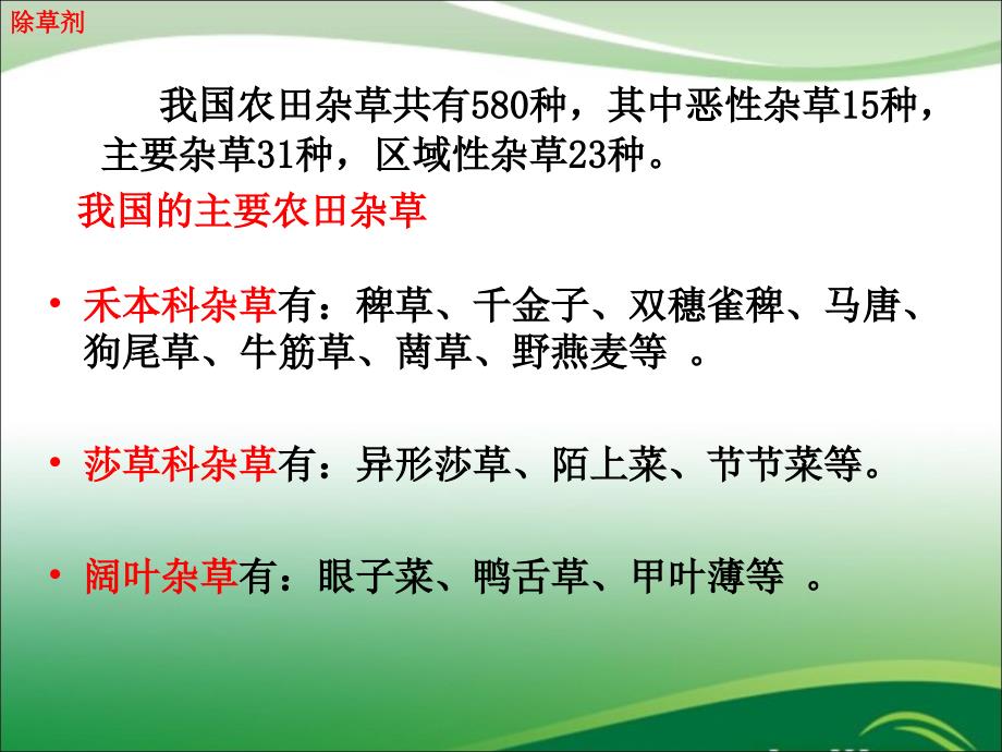 主要农田杂草图_第1页