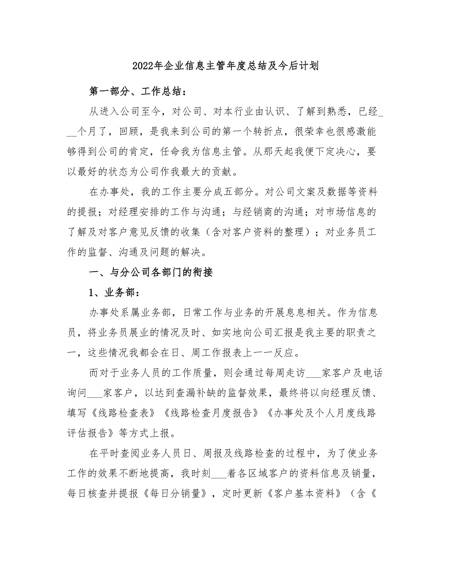 2022年企业信息主管年度总结及今后计划_第1页