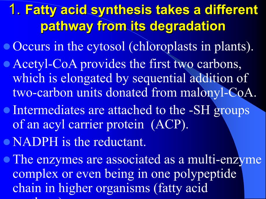 chapter21lipidbiosynthesis课件_第2页