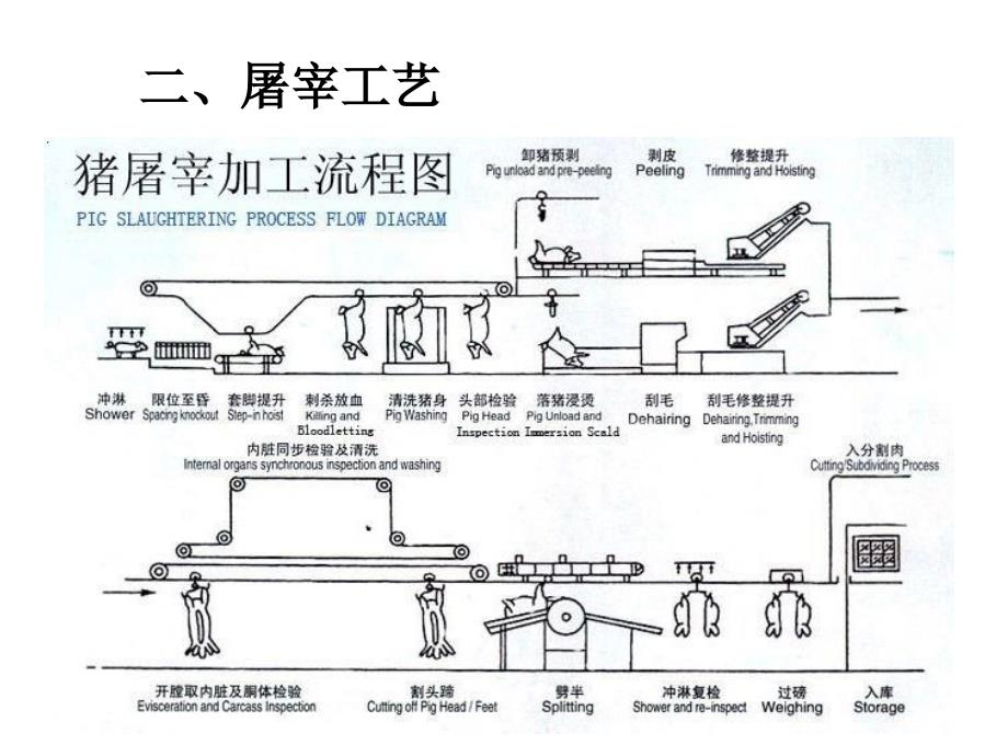 畜禽屠宰及屠宰后肉的变化_第3页