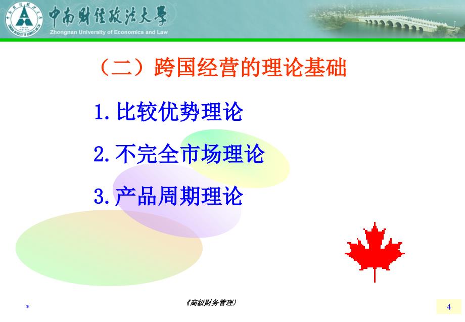 高级财务管理8跨国公司财务管理_第4页