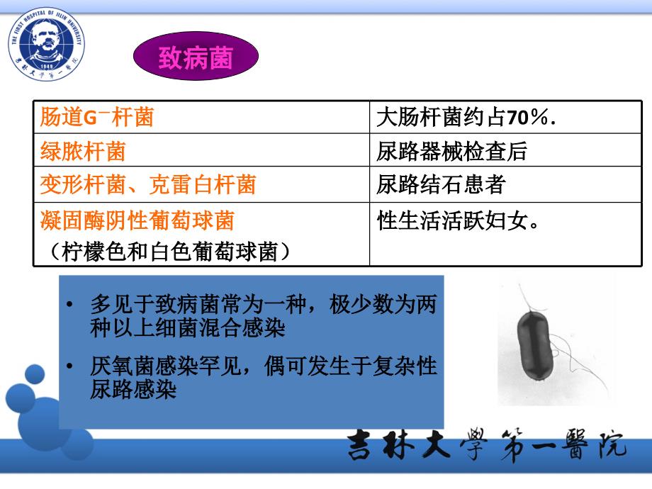 导尿相关尿路感染预防措施_第4页