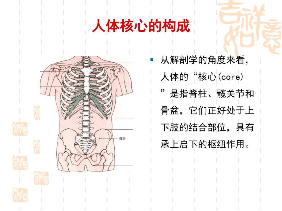 核心稳定性与悬吊训练马丙祥.ppt_第4页