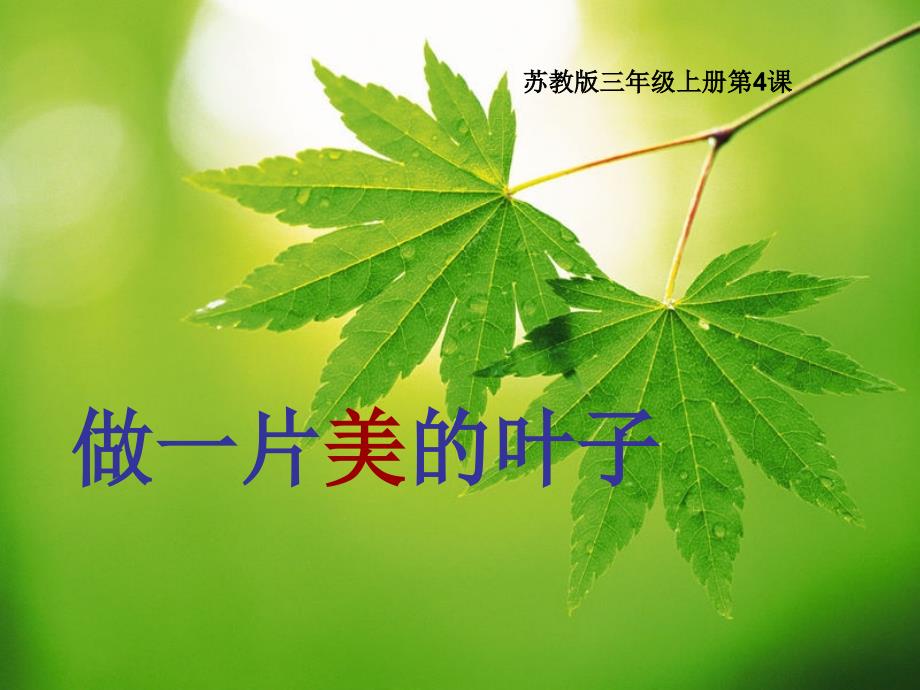 4做一片美丽的叶子_第1页