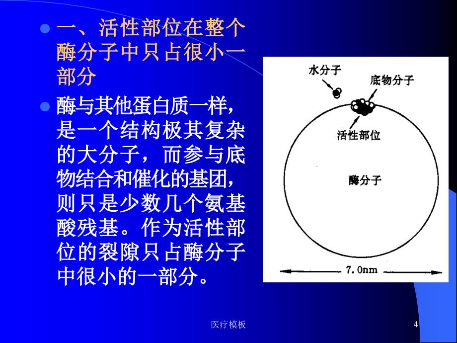 酶的催化机制[仅供参考]_第4页