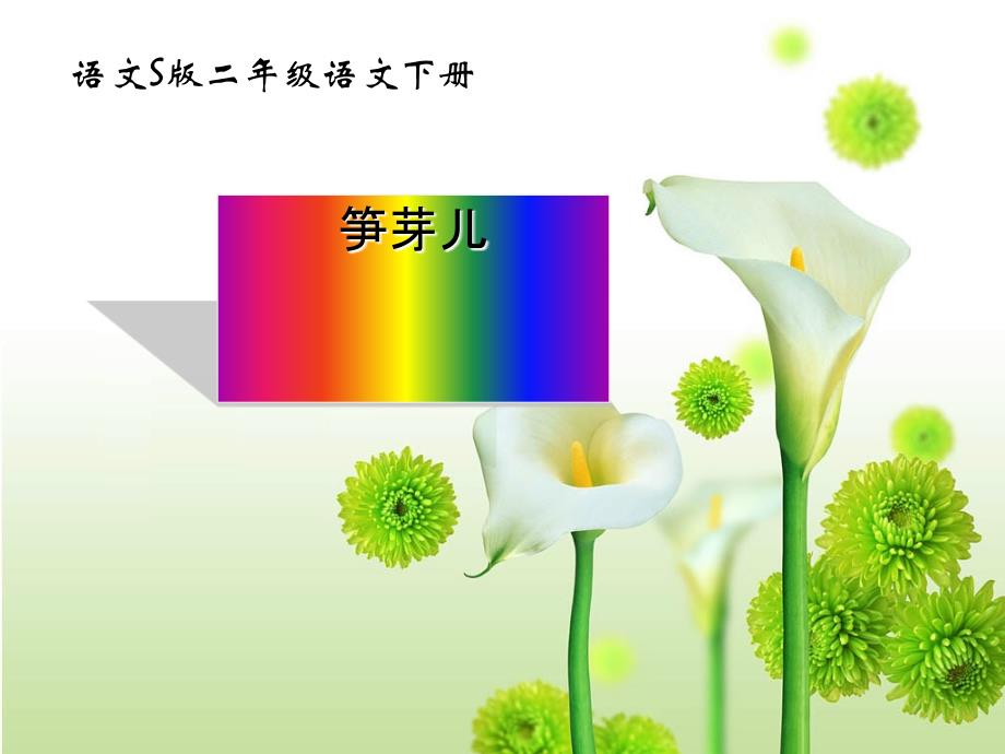 二年级语文下册 笋芽儿3课件 语文S_第1页