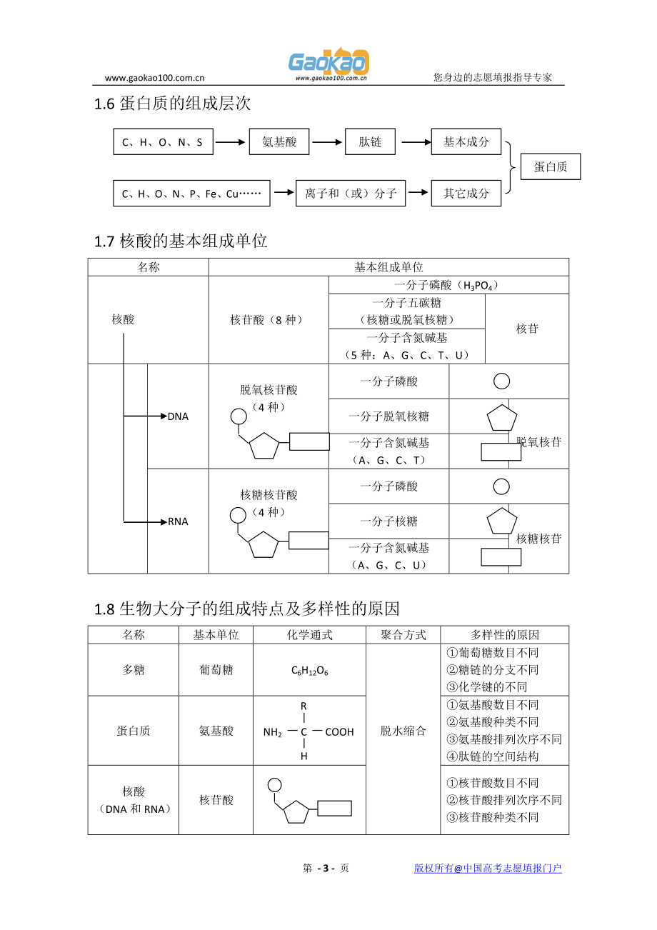 高三一轮复习生物知识结构网络图_第3页