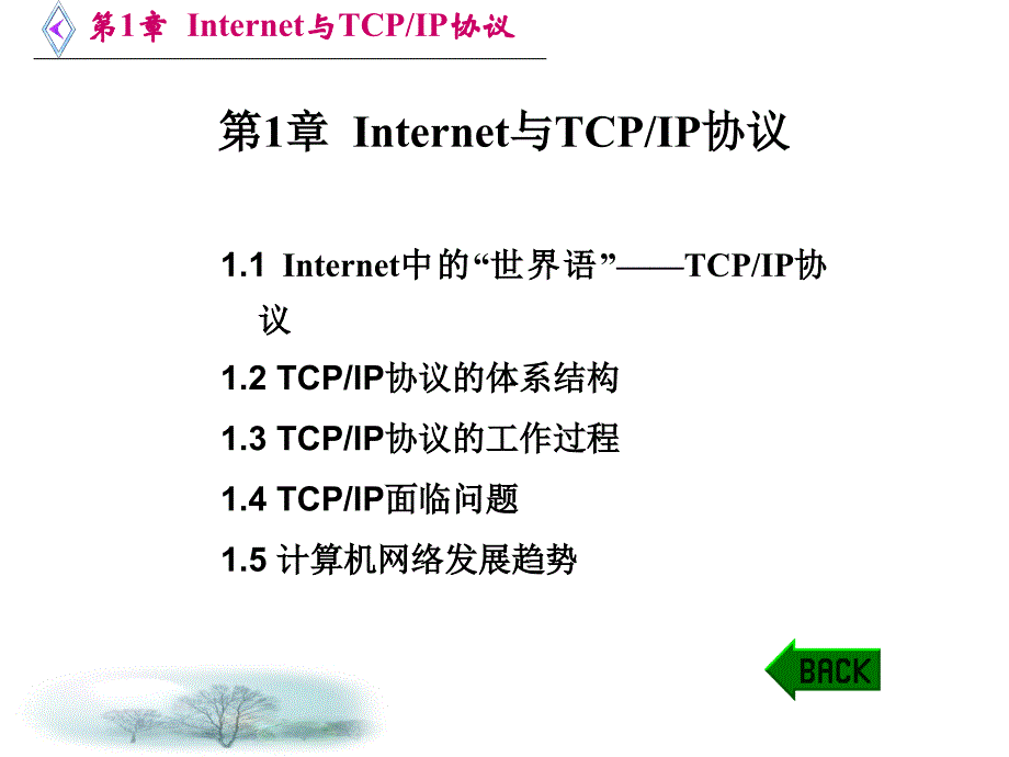 第1章 Internet与TCP协议_第2页