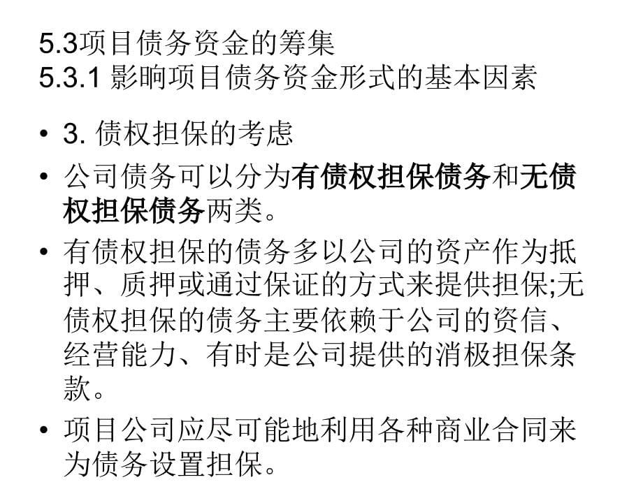 项目债务资金的筹集相关知识_第5页