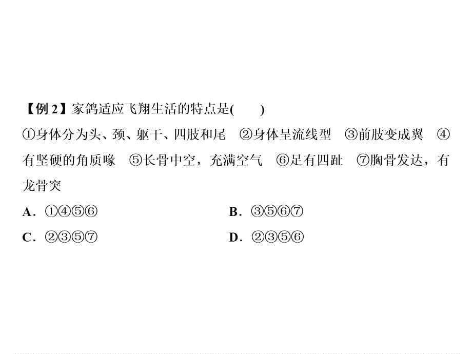 人教版生物八年级上册习题课件：第5单元第1章第6节鸟_第5页