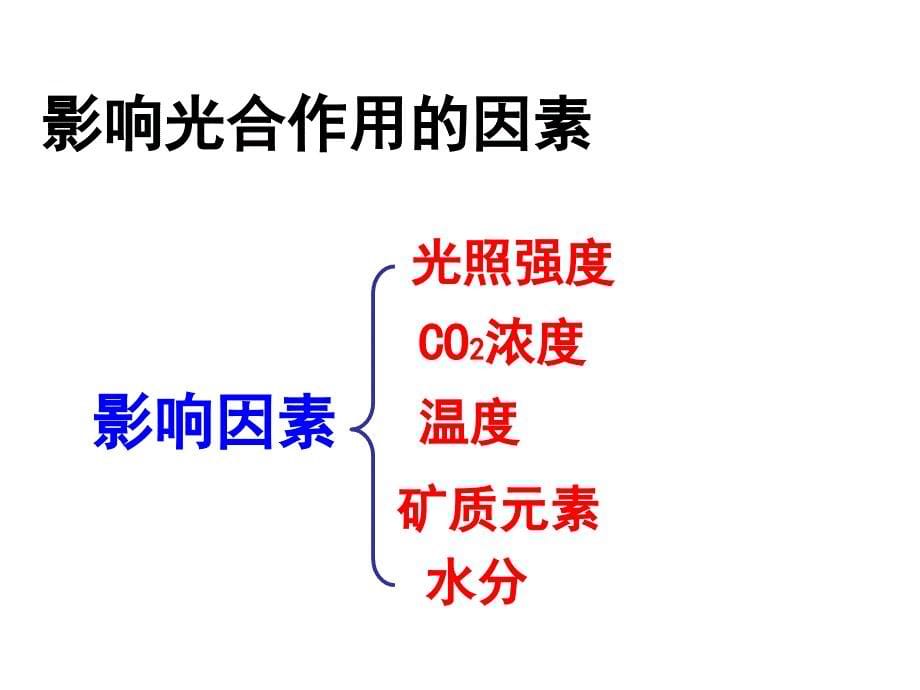 光合作用影响因素_第5页