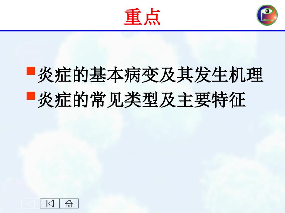 炎症教学课件_第4页