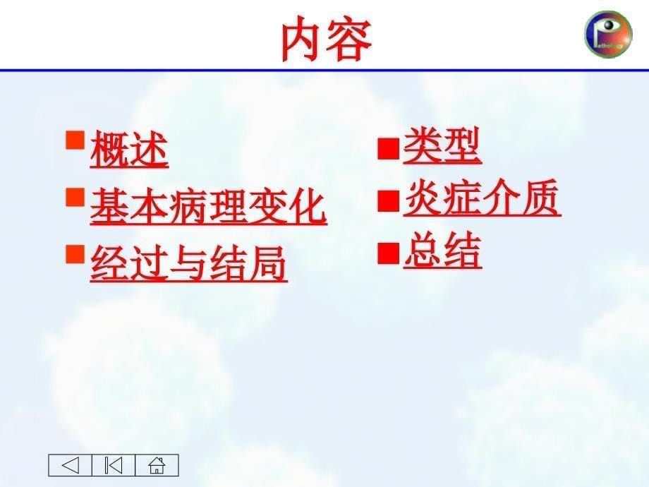 炎症教学课件_第5页