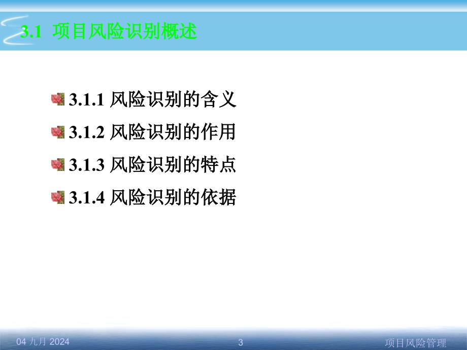 第3章项目风险识别概要_第3页