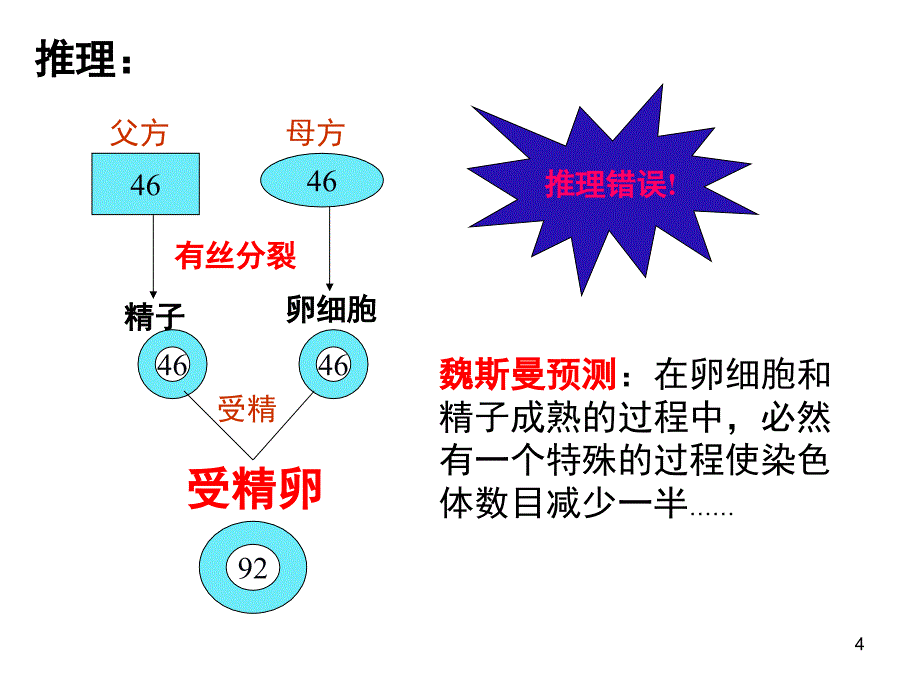 减数分裂与受精作用非常好课堂PPT_第4页