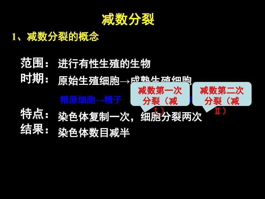 减数分裂与受精作用非常好课堂PPT_第5页