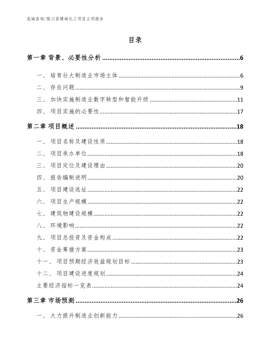 陇川县精细化工项目立项报告（范文参考）_第1页