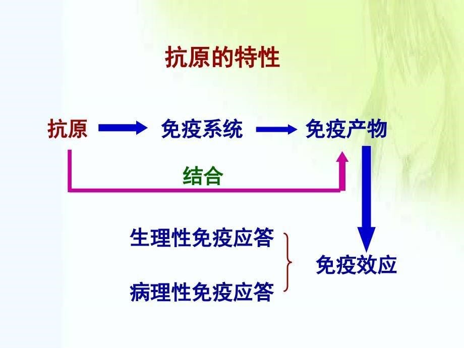 医学免疫学：抗原_第5页