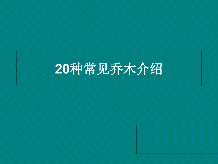 20种常见乔木介绍课件_第1页