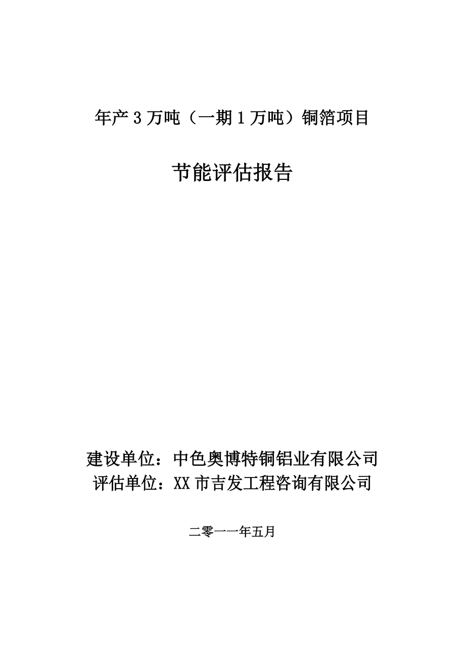 年产3万吨（一期1万吨）铜箔项目节能评估报告_第1页