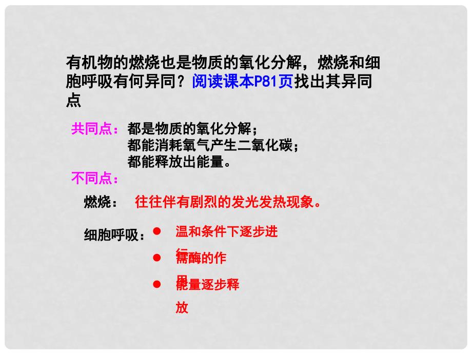 江苏省淮安市高中生物 5.3 细胞呼吸课件（必修1）_第3页