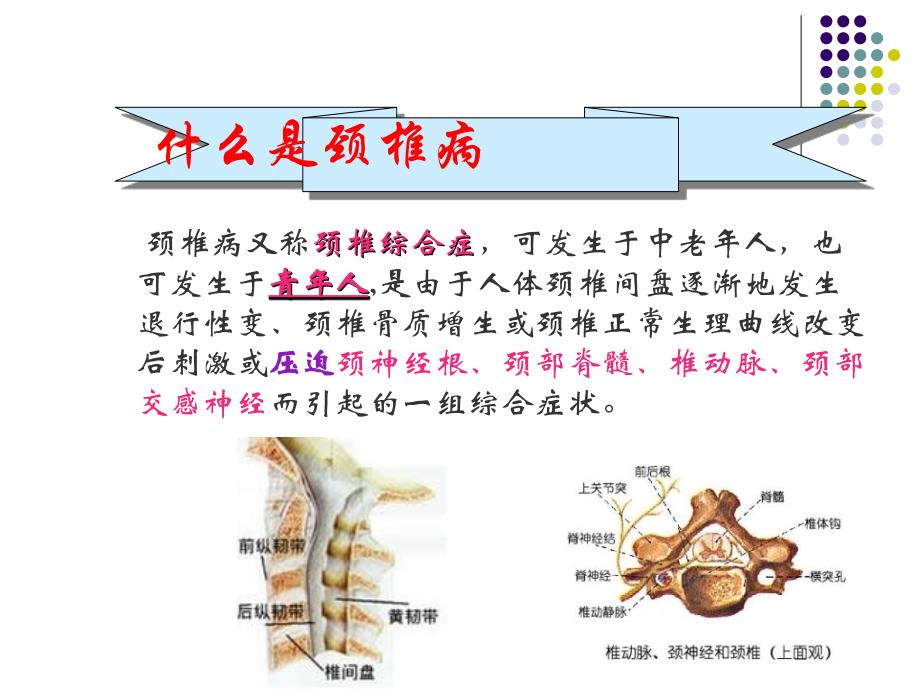 如何防止颈椎病PPT课件_第2页