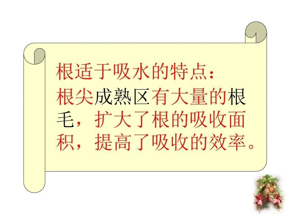 新人教版初中生物七年级上册《水分进入植物体内的途径》精品课件_第5页