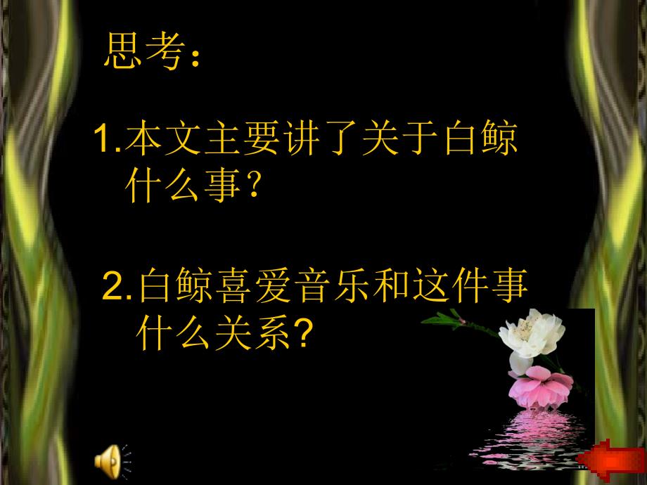 喜爱音乐的白鲸_第4页