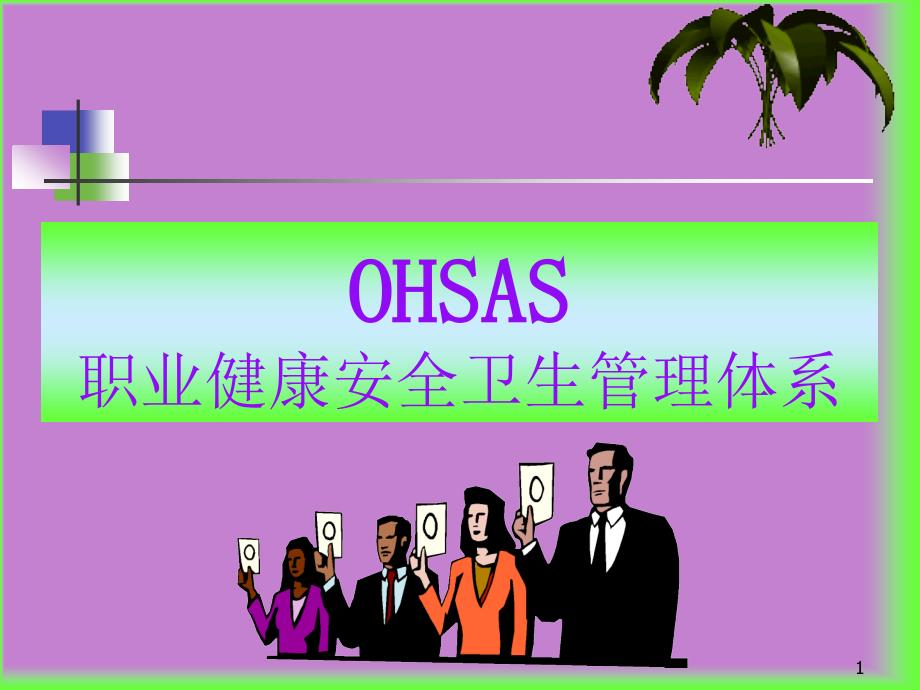 OHSAS职业健康安全卫生管理体系_第1页