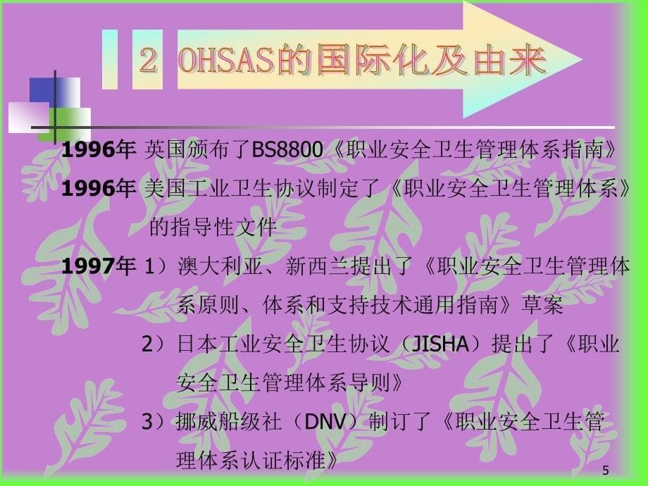 OHSAS职业健康安全卫生管理体系_第5页