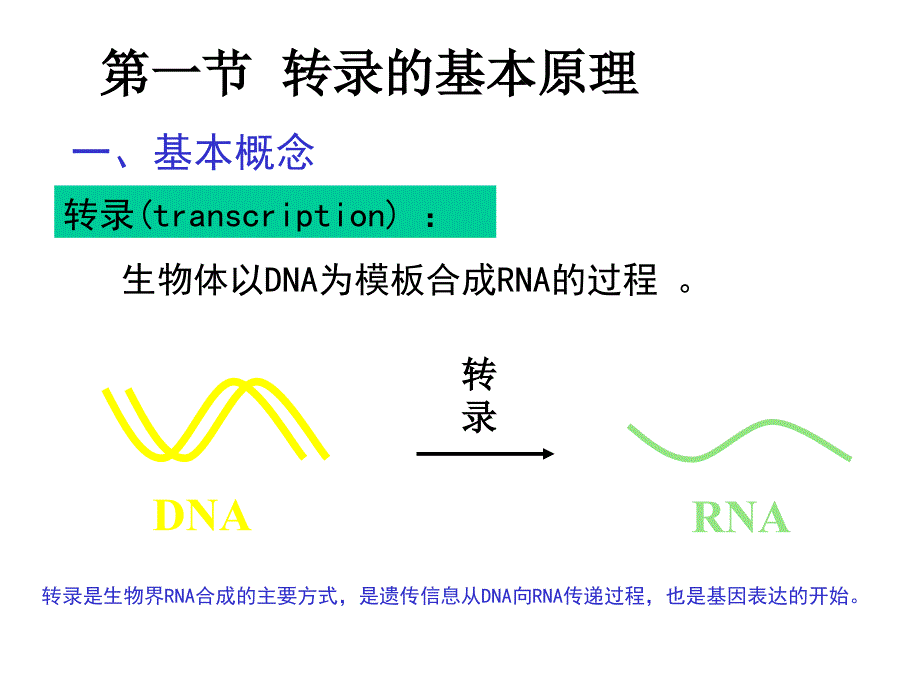 现代分子生物学课件生物信息的传递(上)_第4页